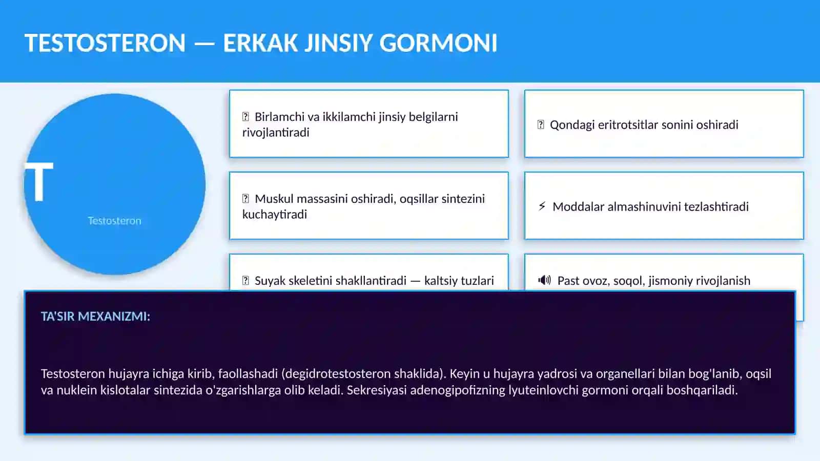 JINSIY GORMONLAR va Reproduktiv Funktsiyada Ularning Ahamiyati 4