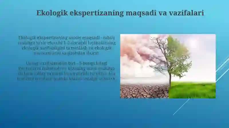 Ekologik ekspertiza tushunchasi, turlari va o'tkazish tartibi 4
