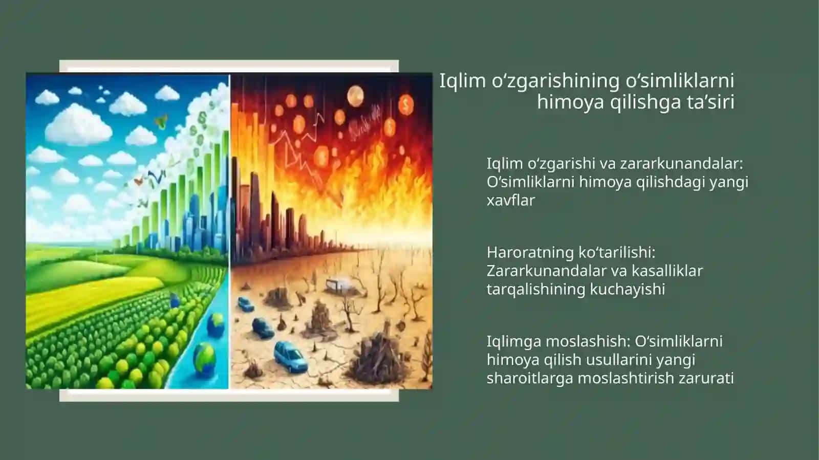 O‘simliklarni himoya qilish muammosi 4