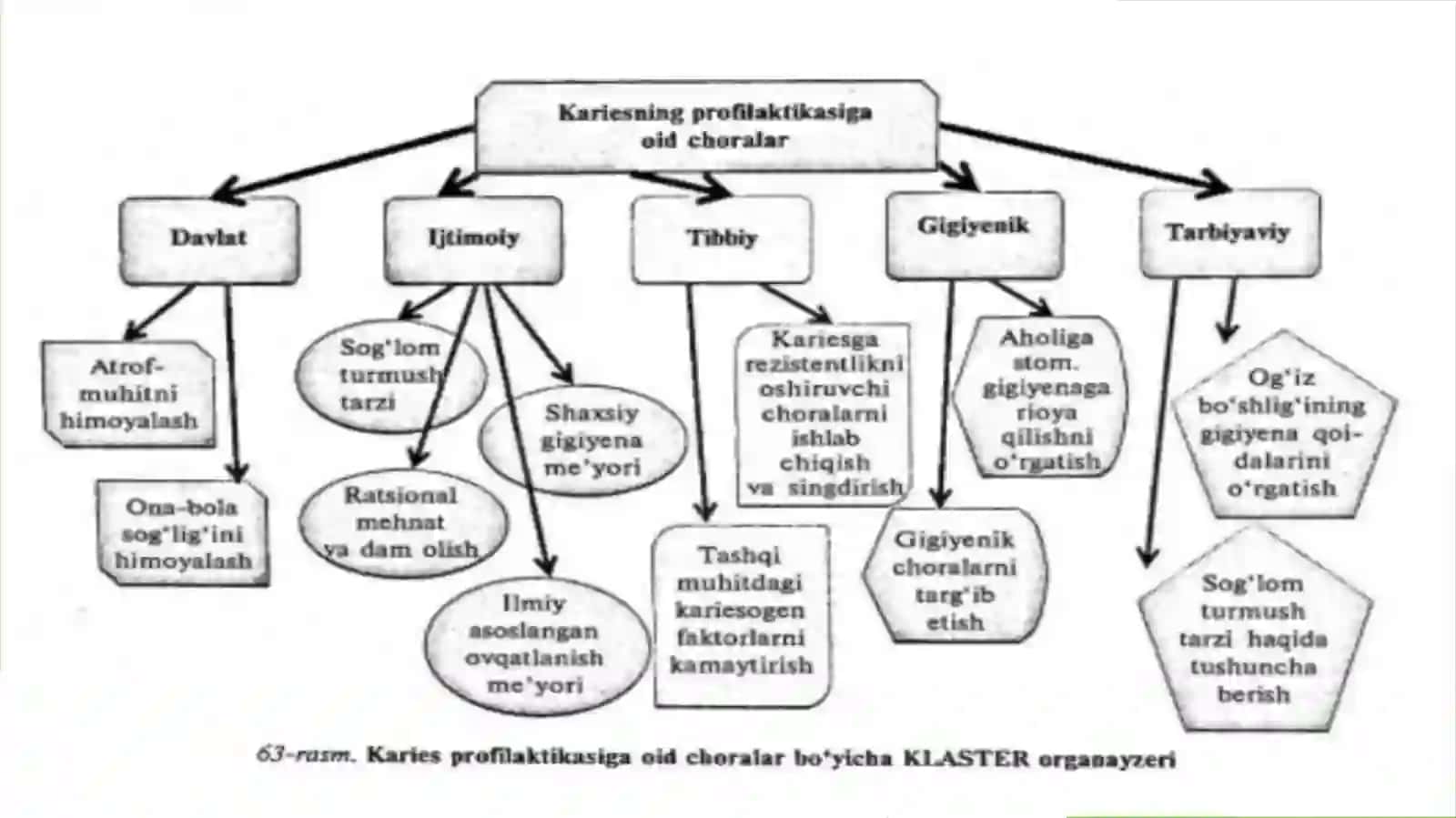 Karies va ovqatlanish tamoyillari 4