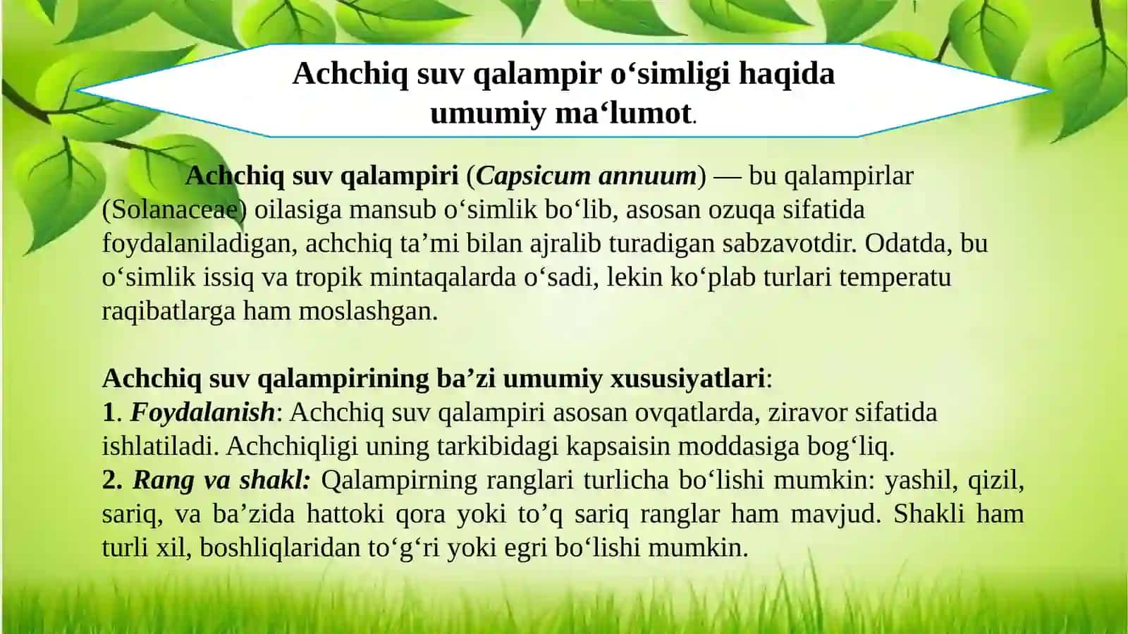 Achchiq suv qalampiri, ( Горец неречный, Водяной нерец ) – Persicfria hydrropiper L. oʻsimligining urugʻchiligi. 4