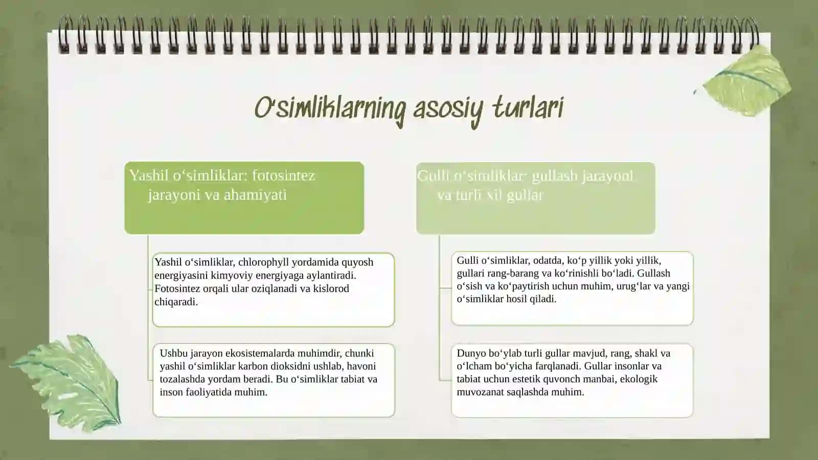 Oʻsimlik rivojlanishining xilma-xilligi 4