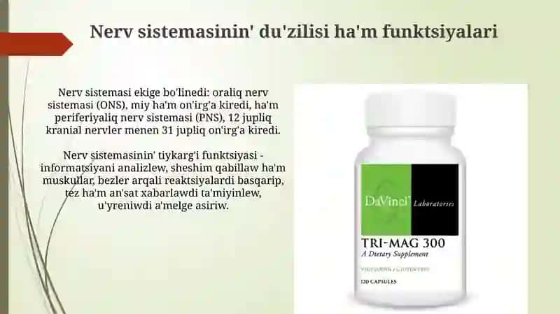 Organizmnin' nerv ha'm gumoralliq basqariliwi 4
