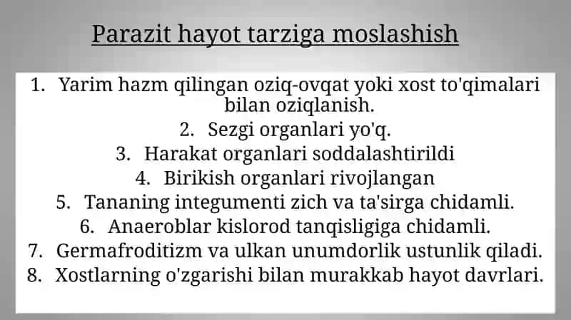 Qurtlar 4