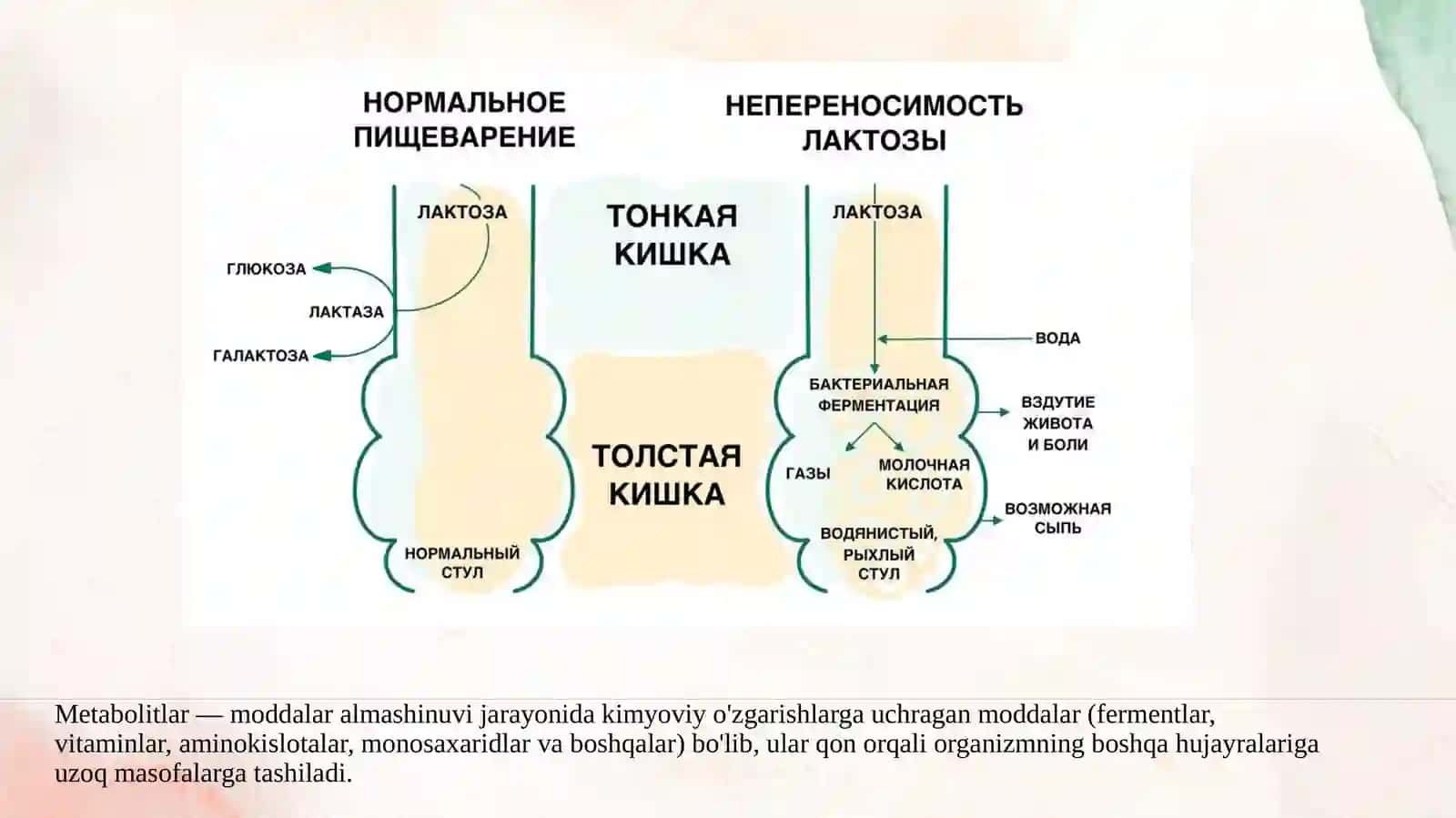Laktaza yetishmovchiligi va uning klinikasi 4