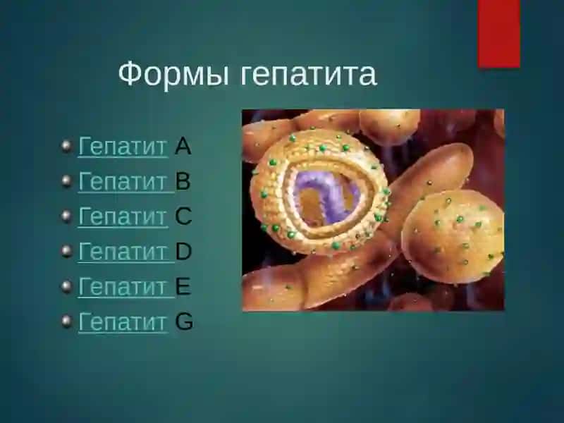 ГЕПАТИТ GEPAATIT RUSKIY 4