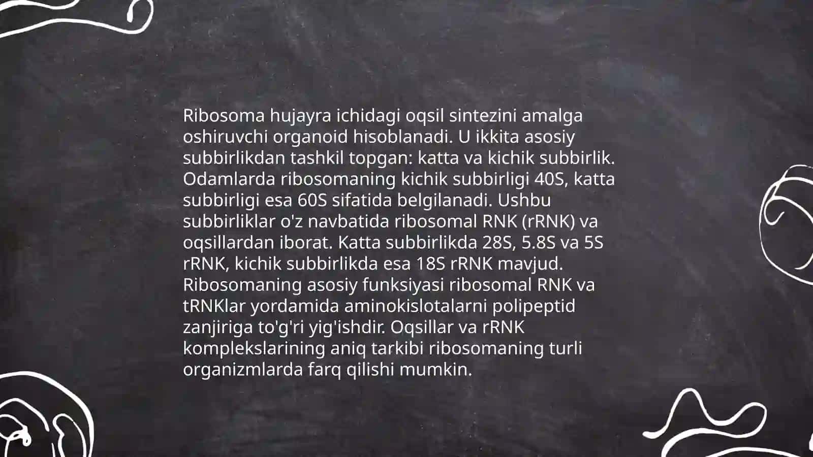 Ribasomaning mexano-kimyoviy xususiyatlari 4