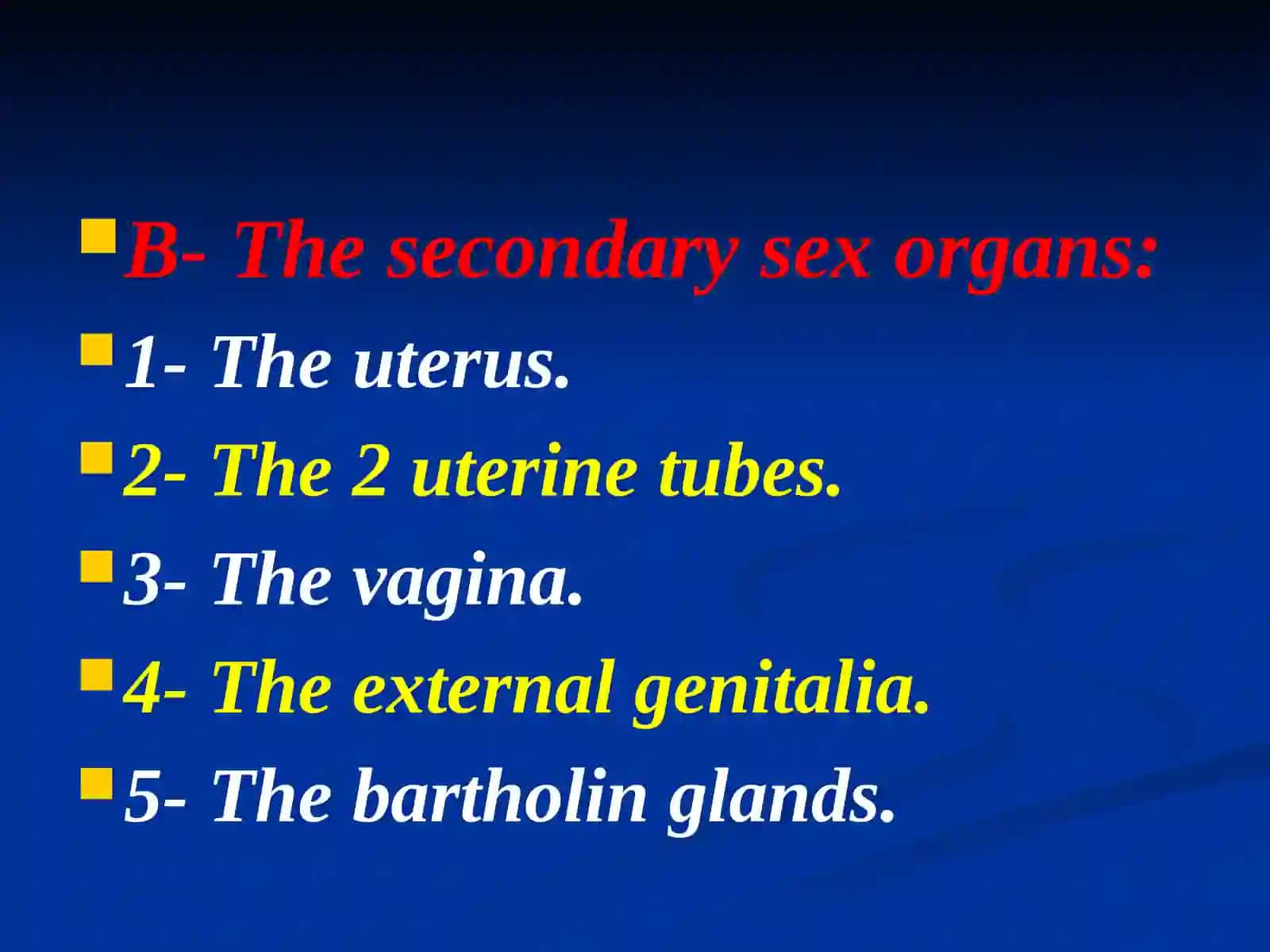 Female reproductive system 4