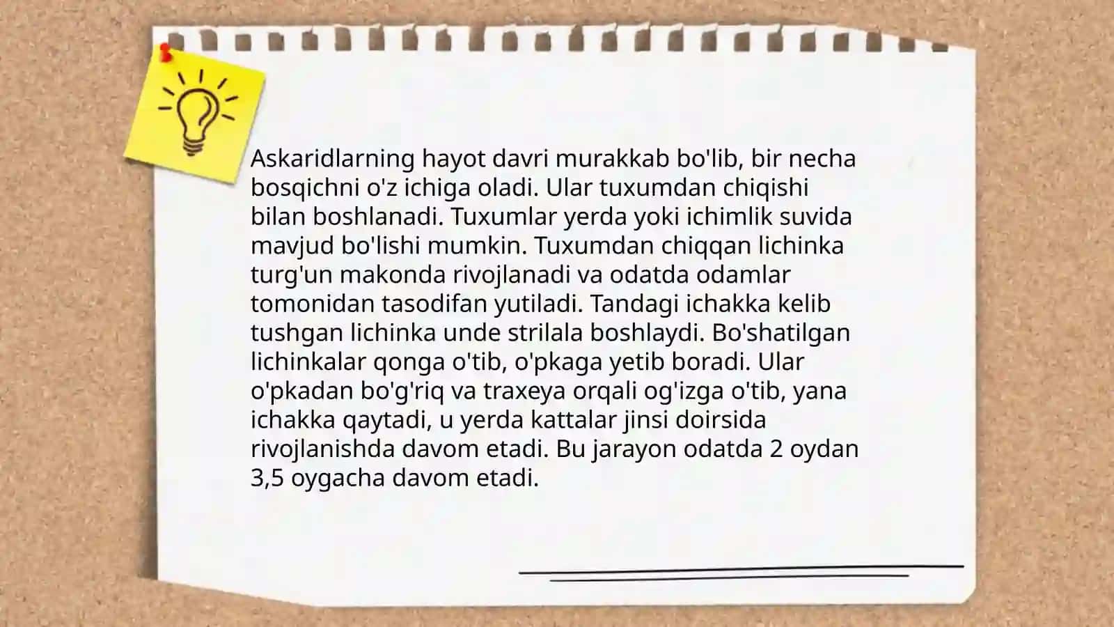 Askaridoz 4