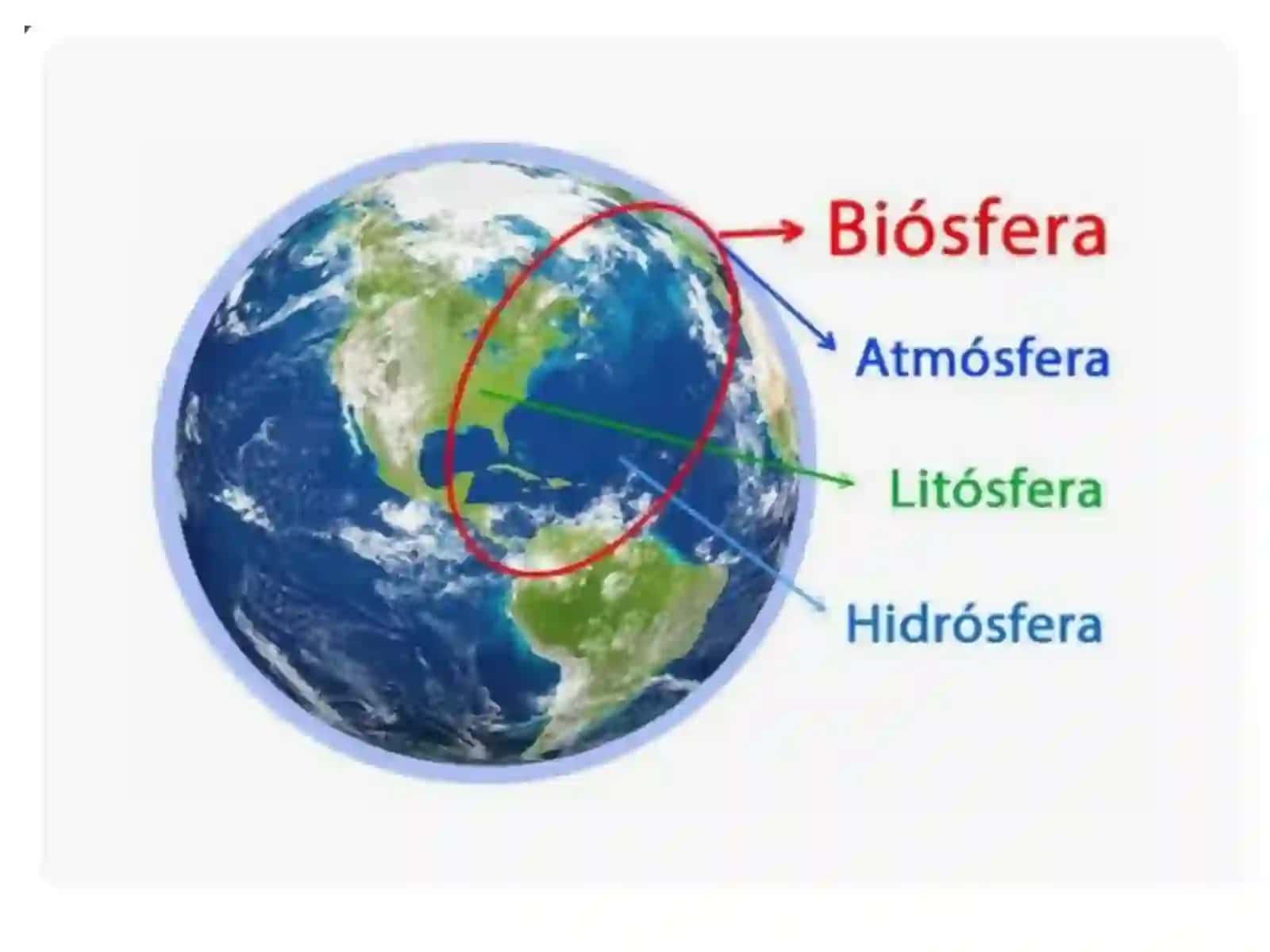 BIOSFERA, CHEGARALARI, BIOMASSA BIOLOGIK MAXSULDORLIK, BIOSFERADA ORGANIZMLARNINGXILMA-XILLIGI 4