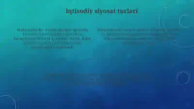 Iqtisodiysiyosatning tipologiyasi va konsepsiyasi 4
