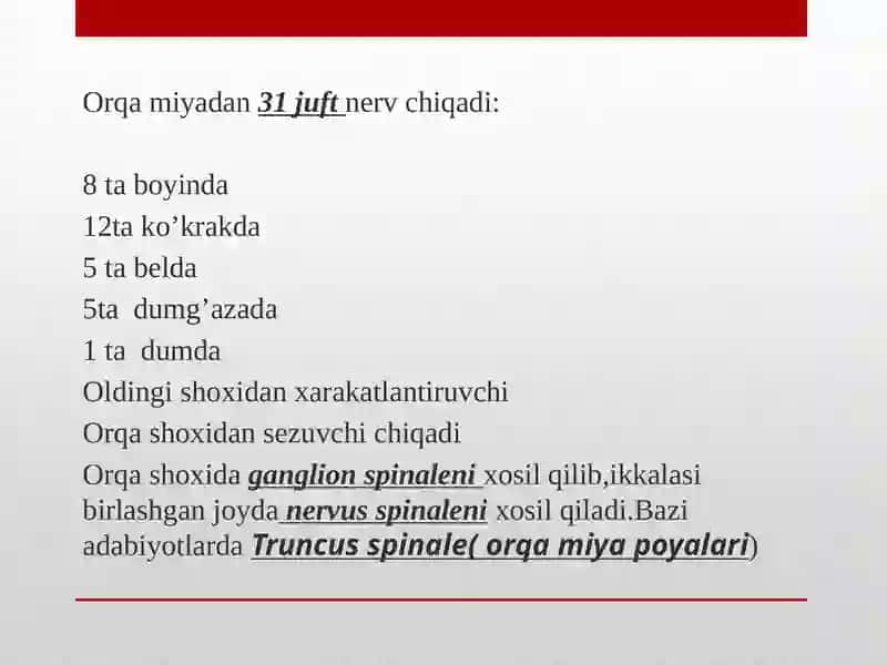 Periferik nerv tizimi funksional anatomiyasi 4