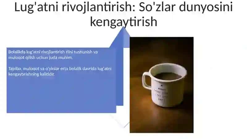 Tilning Asoslari: Yosh Aqlning So'z-Ob'ekt Munosabatlarini Mustahkamlash 4
