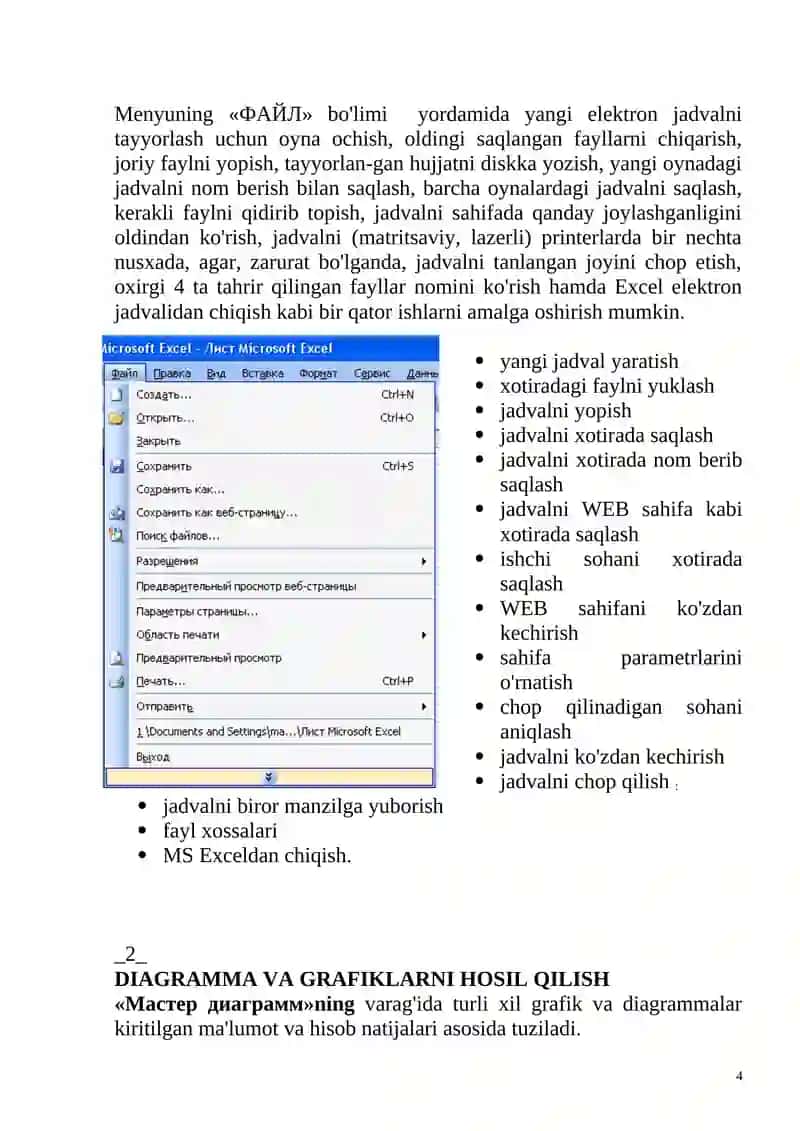 Microsoft Excel 4