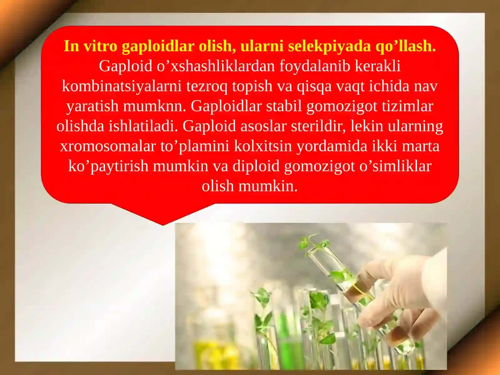 O’simliklar selektsiyasidain vitro usulini qo’llash 4