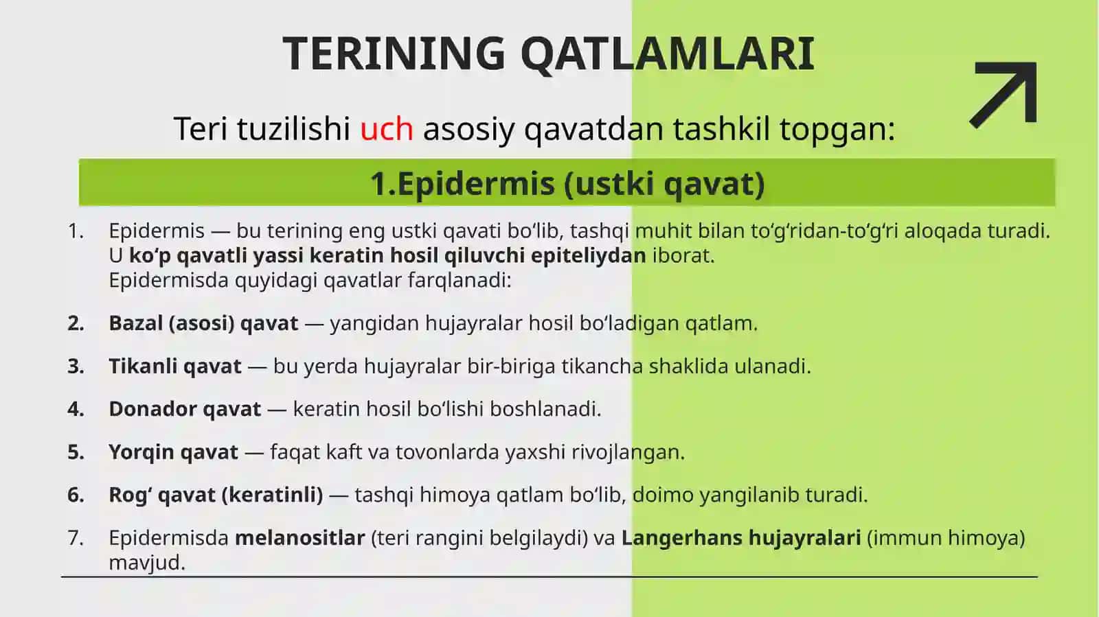 Teriostiyog‘qatlamixususiyatlari 4