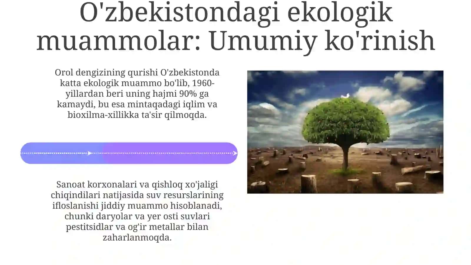 Ekologiya: Asosiy tushunchalar 4