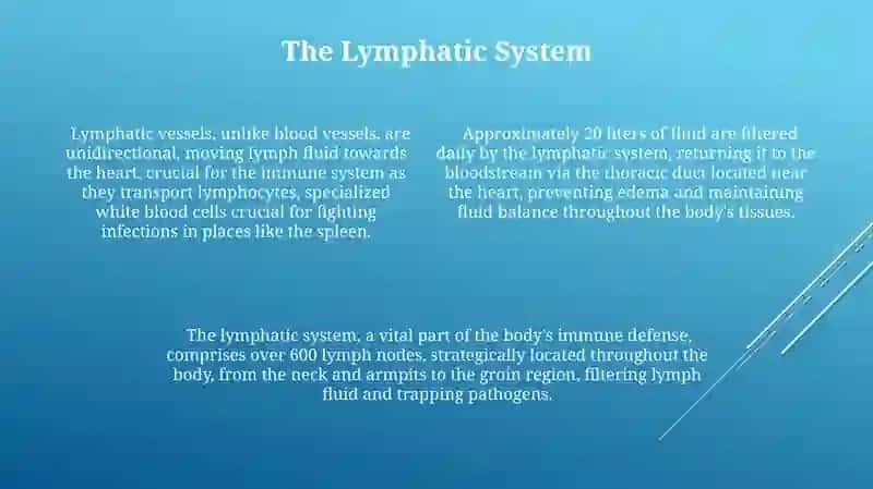 Circulatory system 4