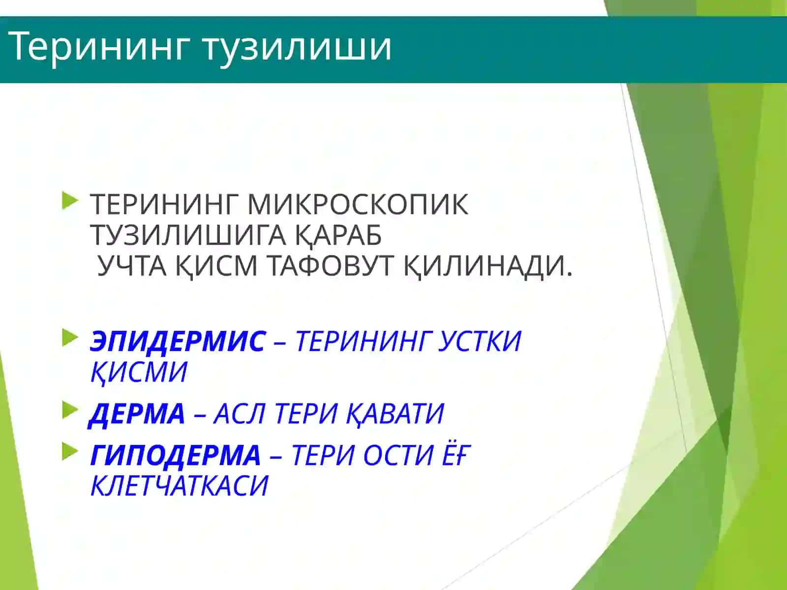 ДЕРМАТОЛОГИЯ 4