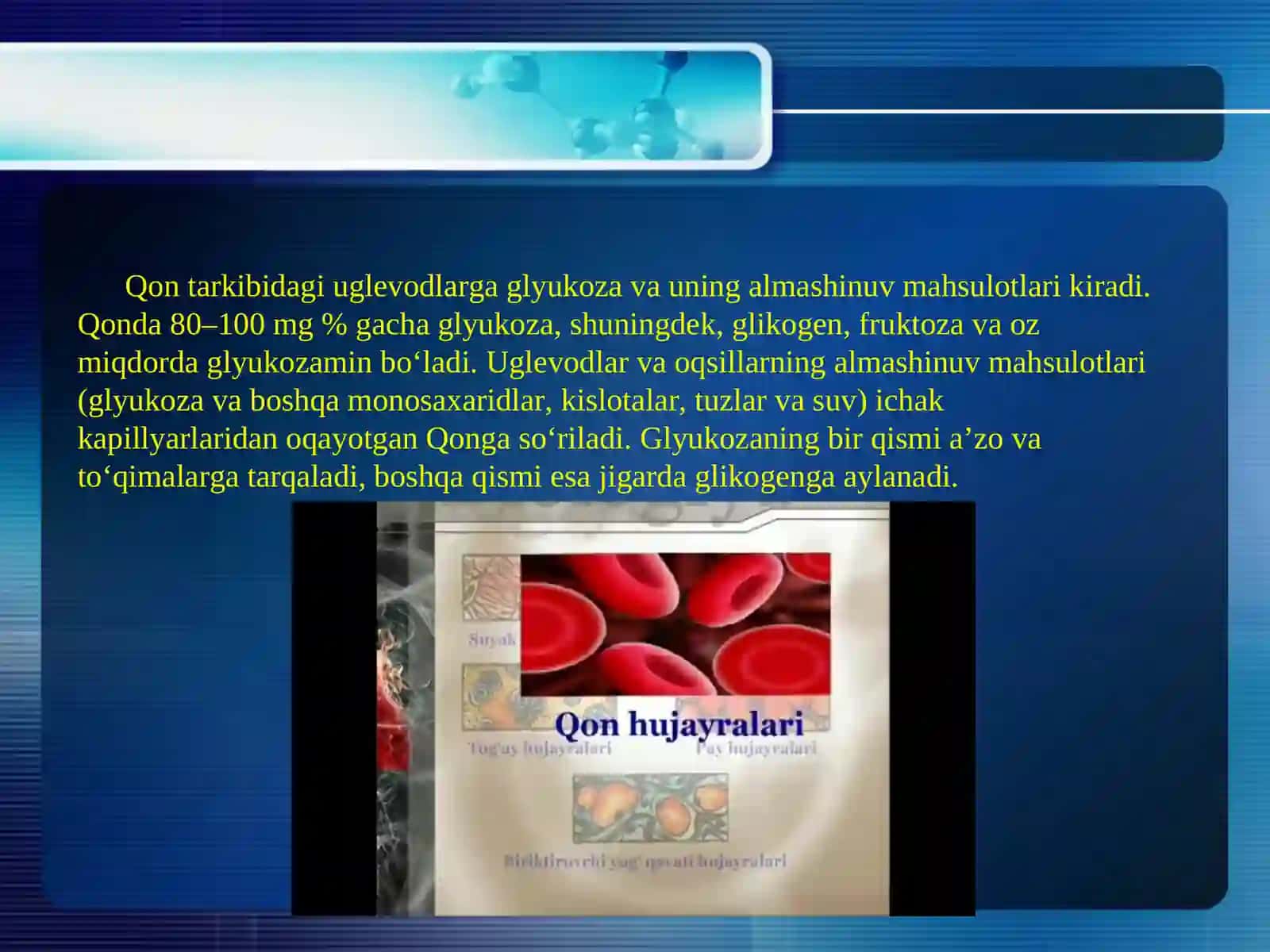 Qon tizimining fiziologiyasi 4