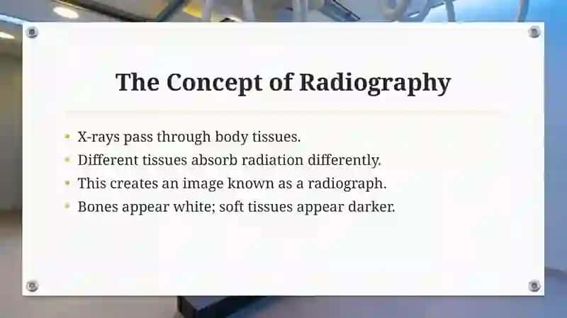 Radiography 4