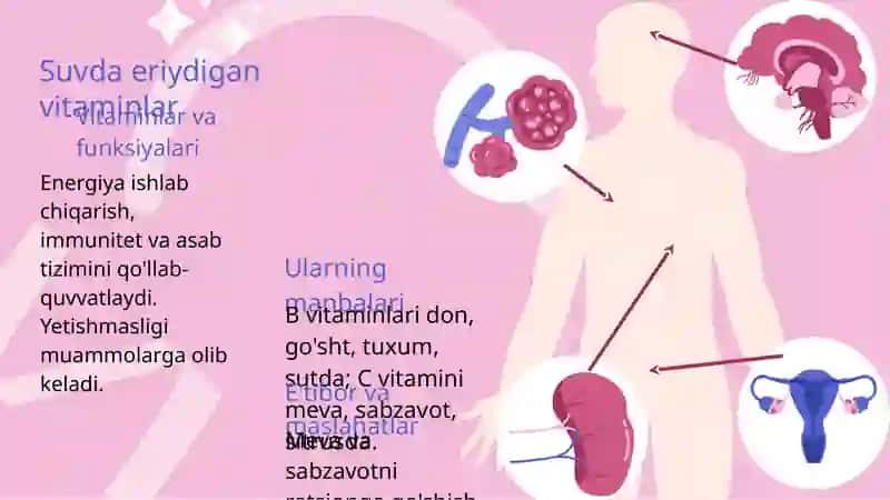 Organizmning vitaminlar bilan ta'minlanganligini o'rganish va baholash 4
