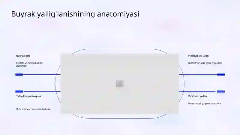 Piyelonefrit Propedevtikasi 4