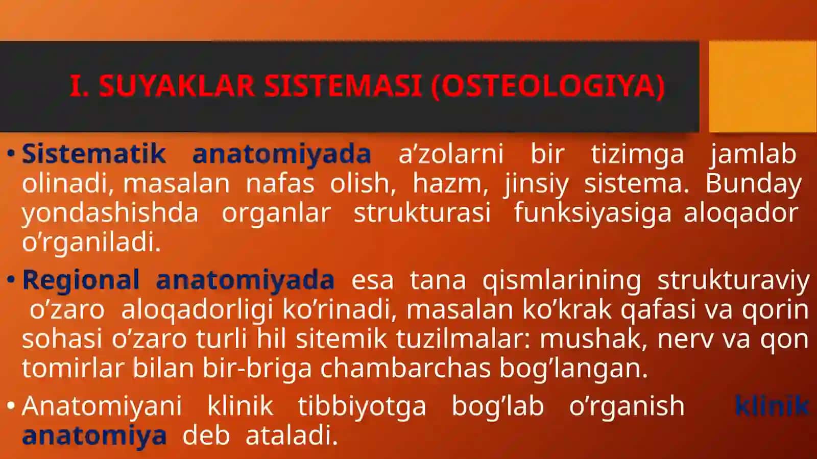SISTEMATIK ANATOMIYA 4