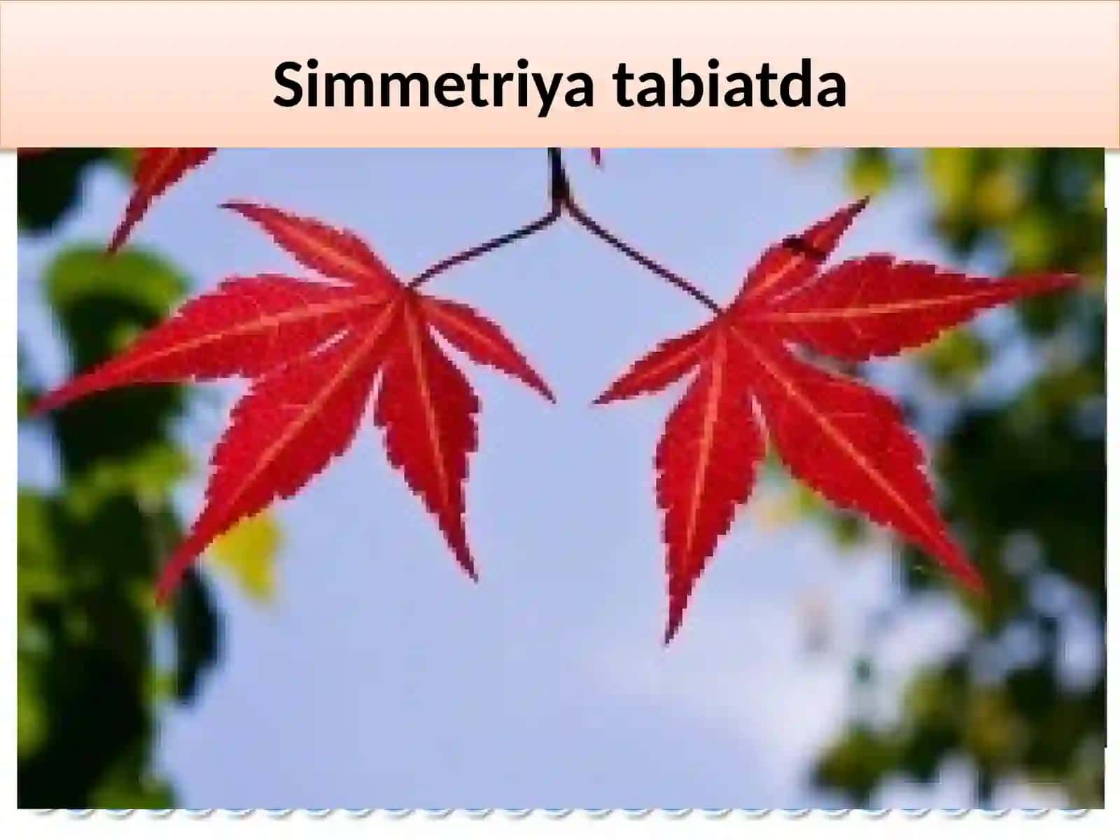 Simmetrik shakllar. Burish simmetriyasi 4