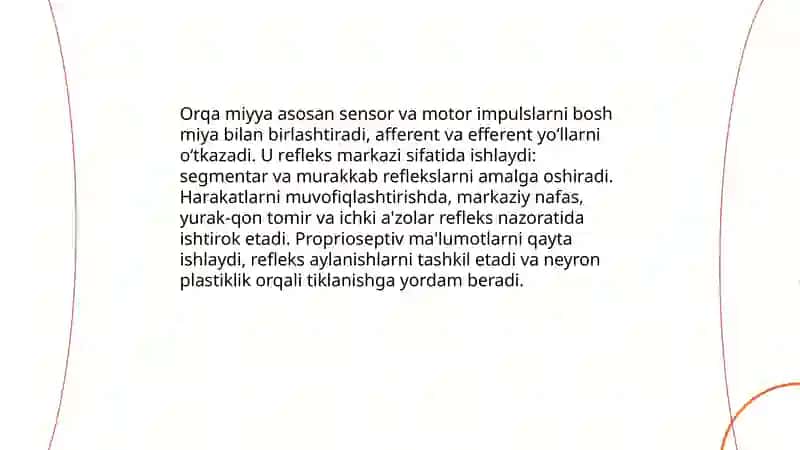 Orqa miyya anatomiyasi 4