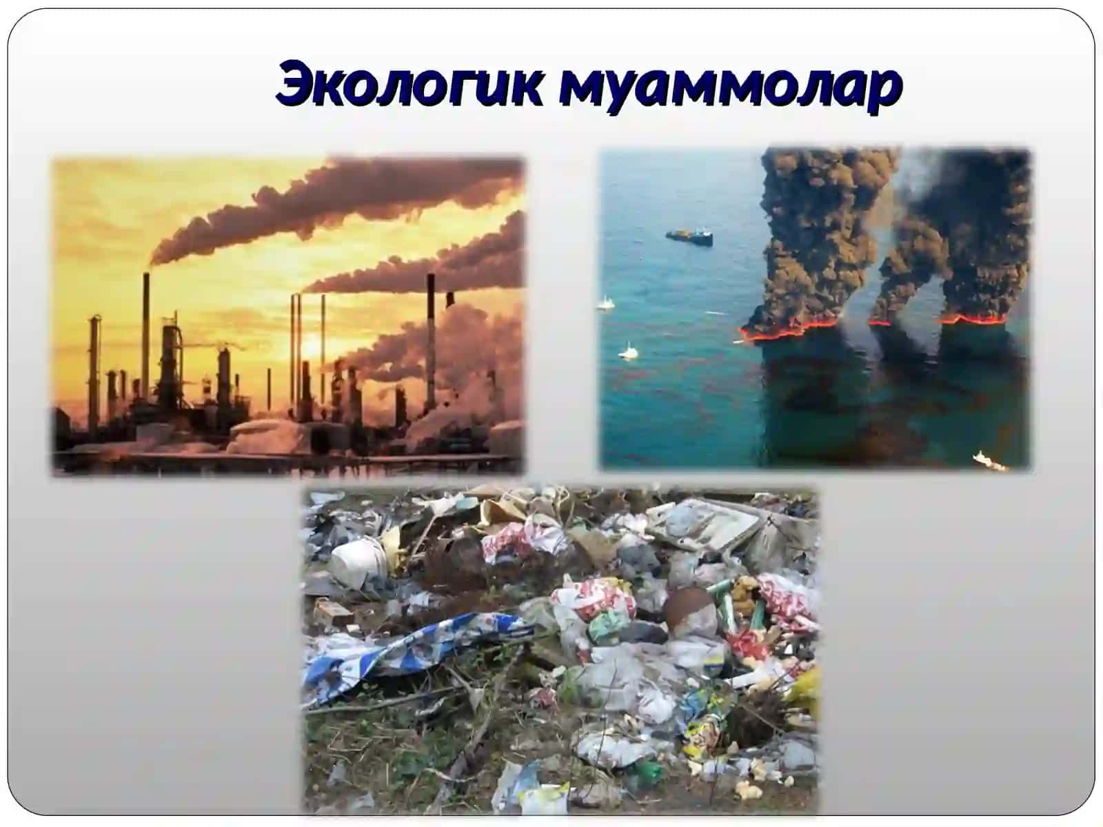 Ҳозирги замон глобал экологик муаммолари 4