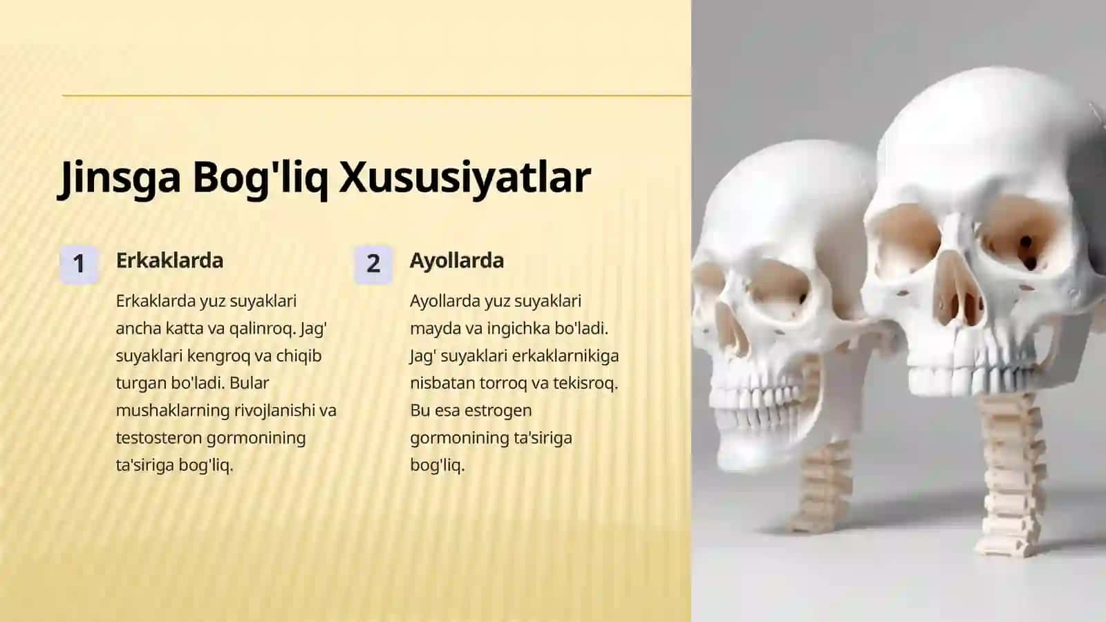 Yuz Suyaklari: Yosh va Jins Xususiyatlari va Anomaliyalari 4
