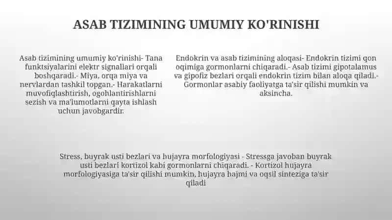 Endokrin Va Nerv Tizimi Aloqasi Endokrin Va Immun Tizimning Ozaro Aloqasi Stress Holda Buyrak Usti Postlog'Ining Garmonlarining Roli Va Hujayralarning Morfalogik Tuzilishi 4