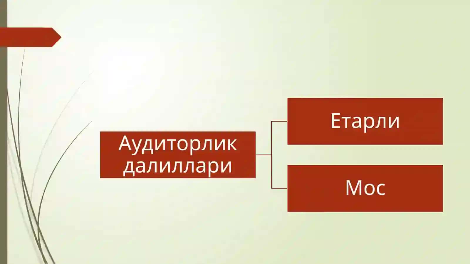 Аудиторликдалиллари 4
