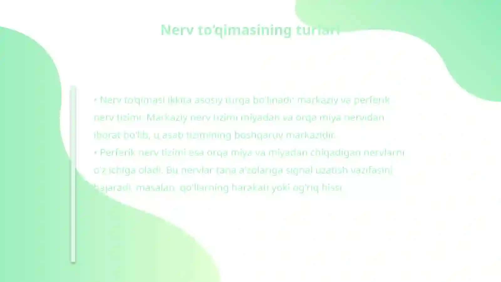 Nerv to‘qimasi 4