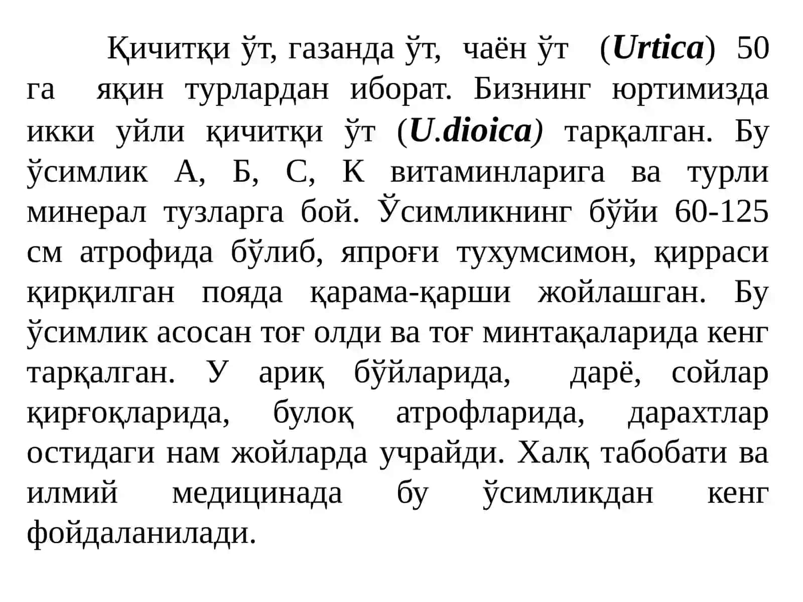 Urtica dioica (Газанда ўти) 4