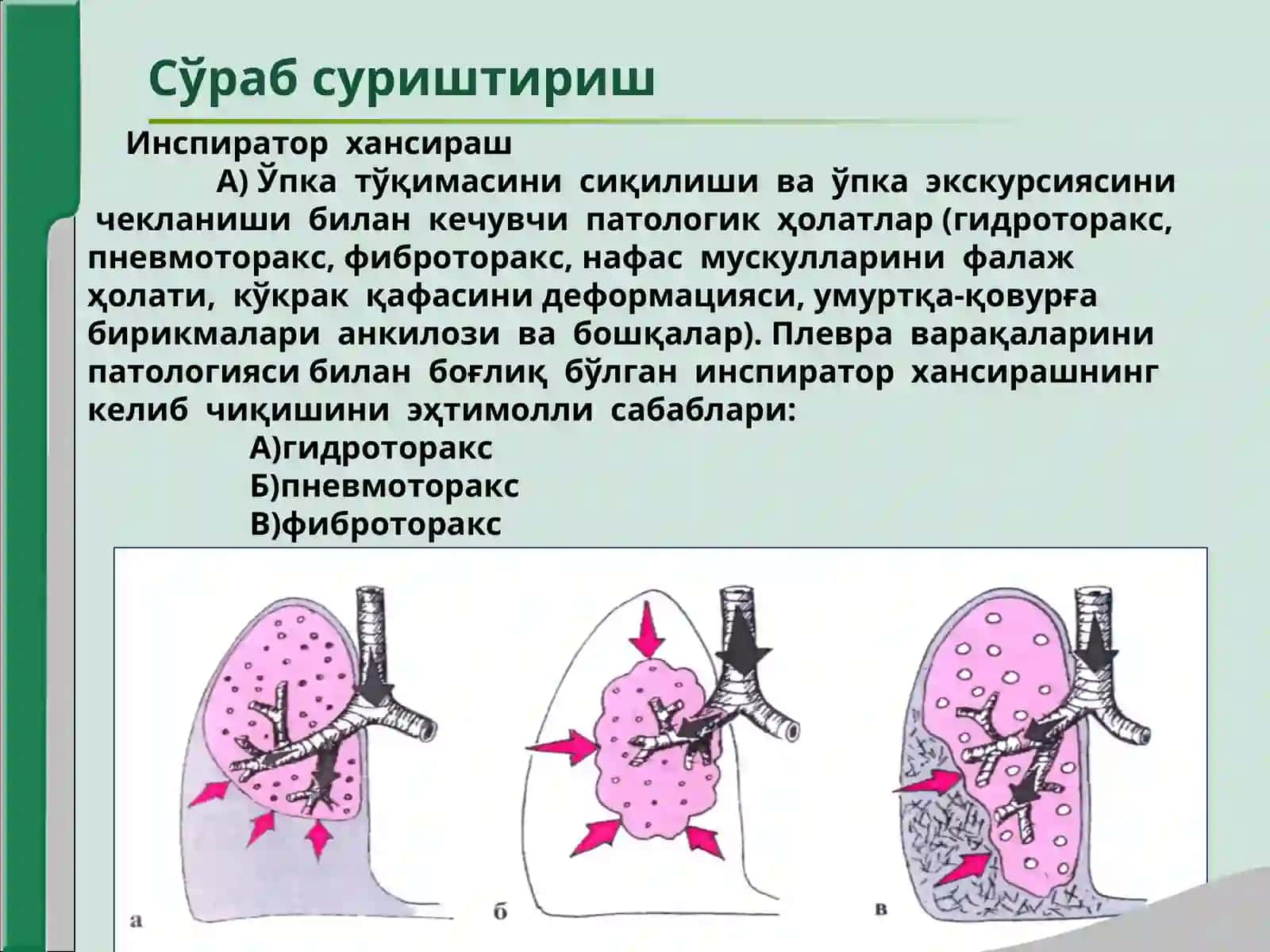 Хансираш 4