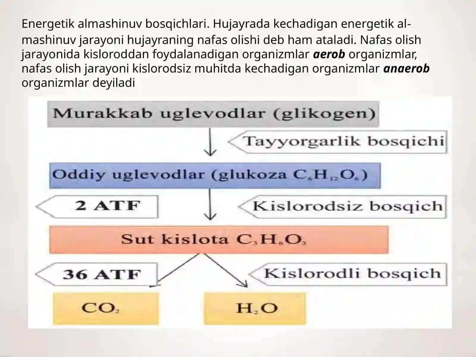 HAYOTNING HUJAYRA DARAJASIDAGI UMUMBIOLOGIK QONUNIYATLAR 4