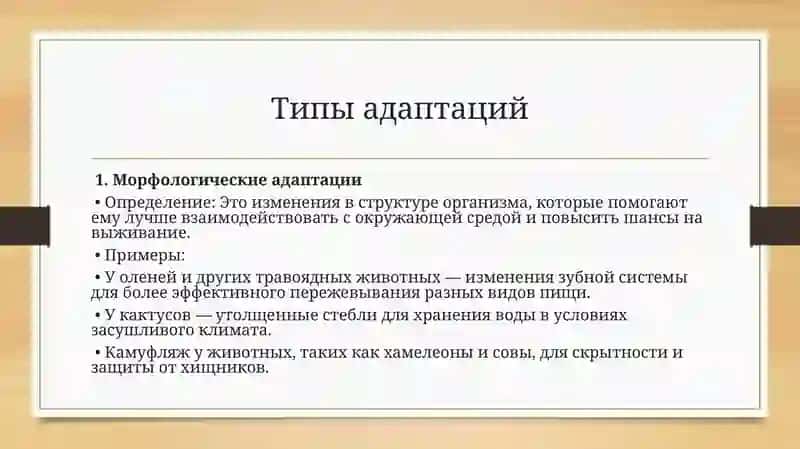 Типы адаптации организмов (Морфологические, физиологические, биохимические, поведенческие) 4