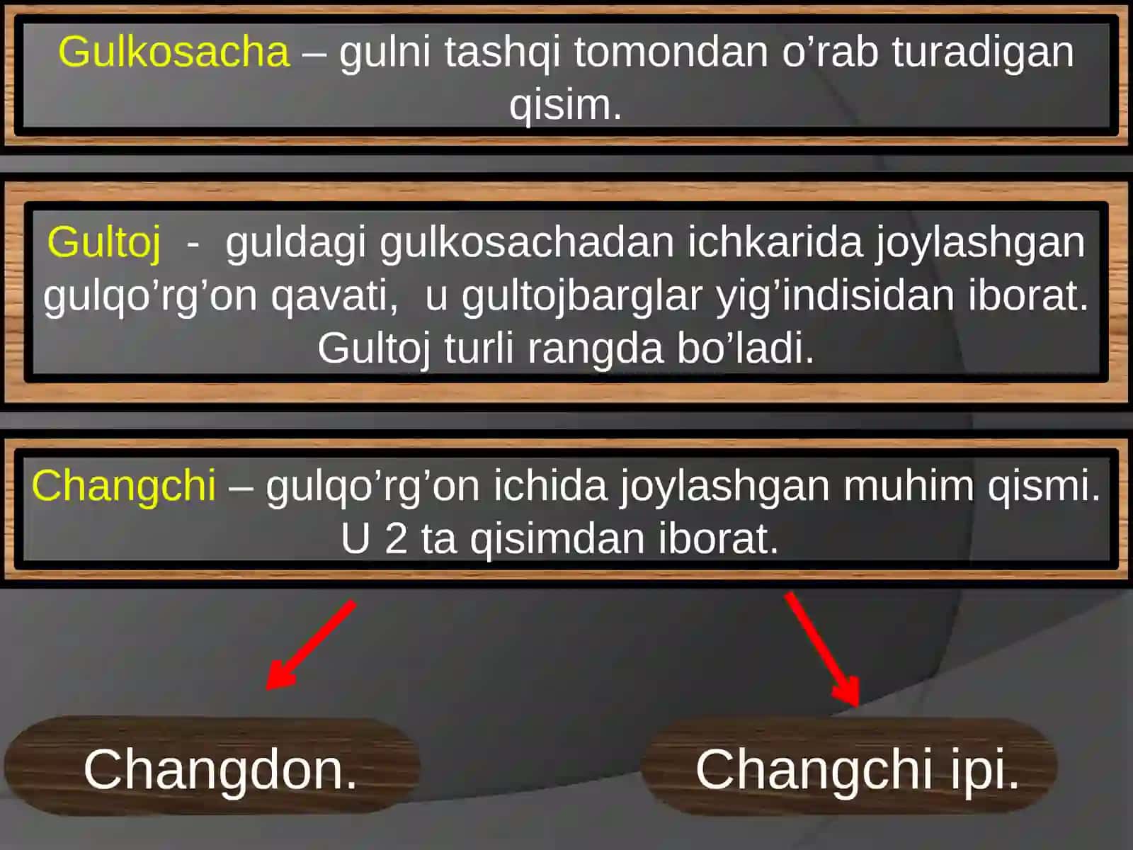 Gul 4