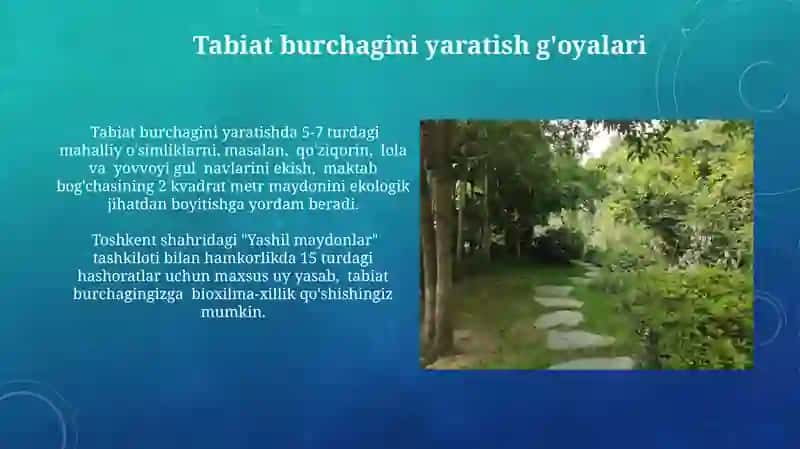 Tabiat burchagini tashkil etish va uni rejalashtirish 4