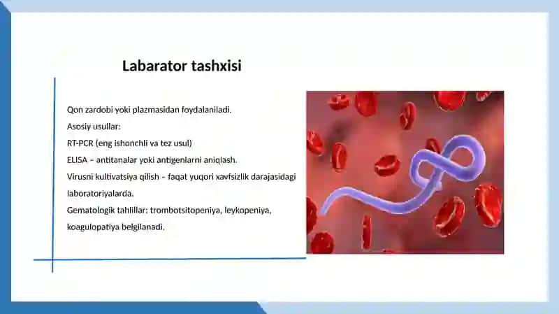 Ebola, Lassava, Zika virusi 4