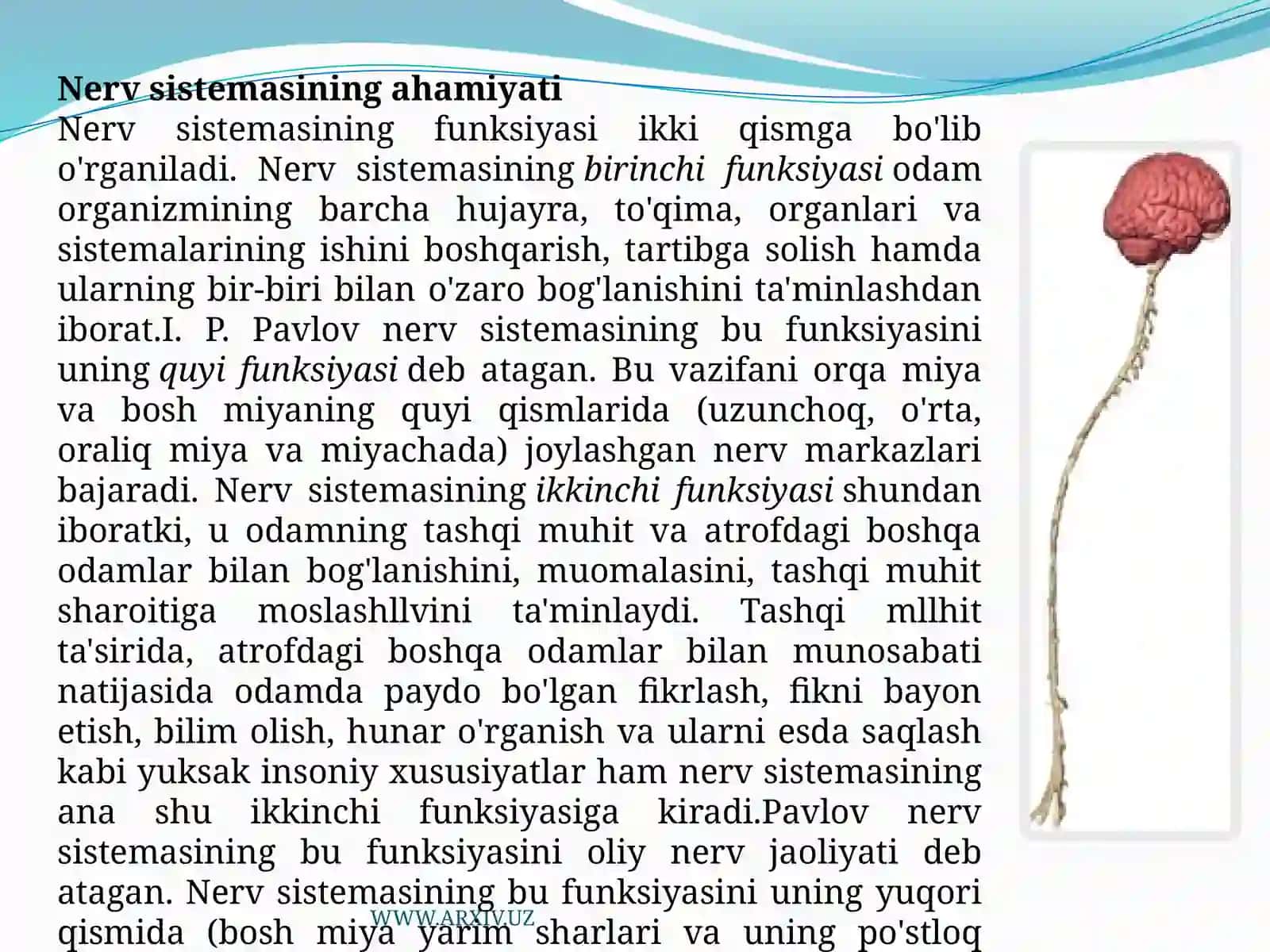 Organizmning o`sish va rivojlanishi gatalar 4