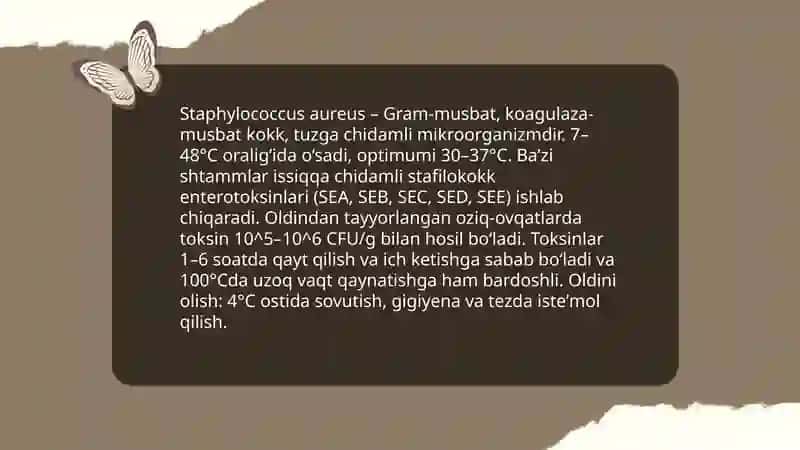 Salmonella Bakteriyasi 4