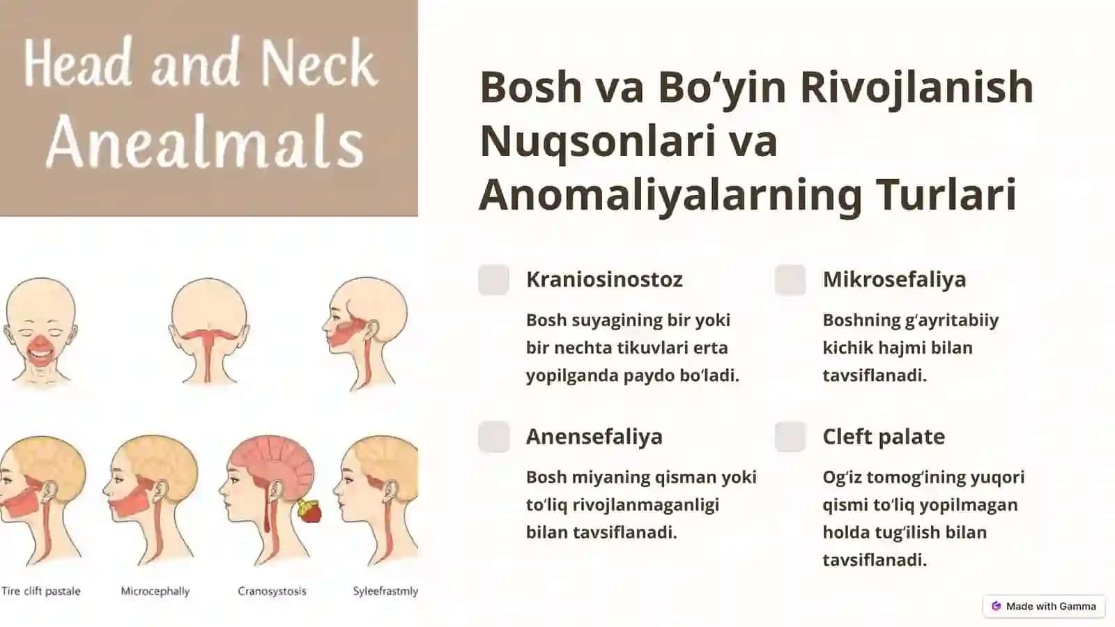 Bosh va Boʻyin Rivojlanish Nuqsonlari va Anomaliyalari 4