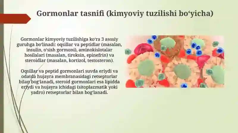 Garmonlarning nishon hujayralarga taʼsir mexanizmi 4