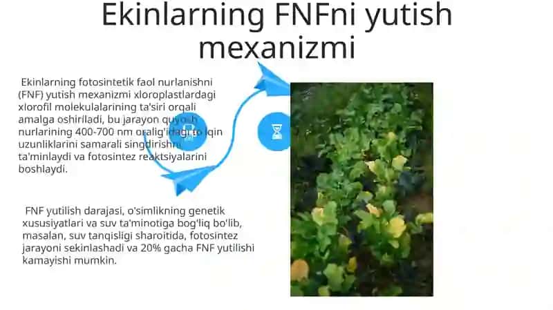 FNF yutilishi 4
