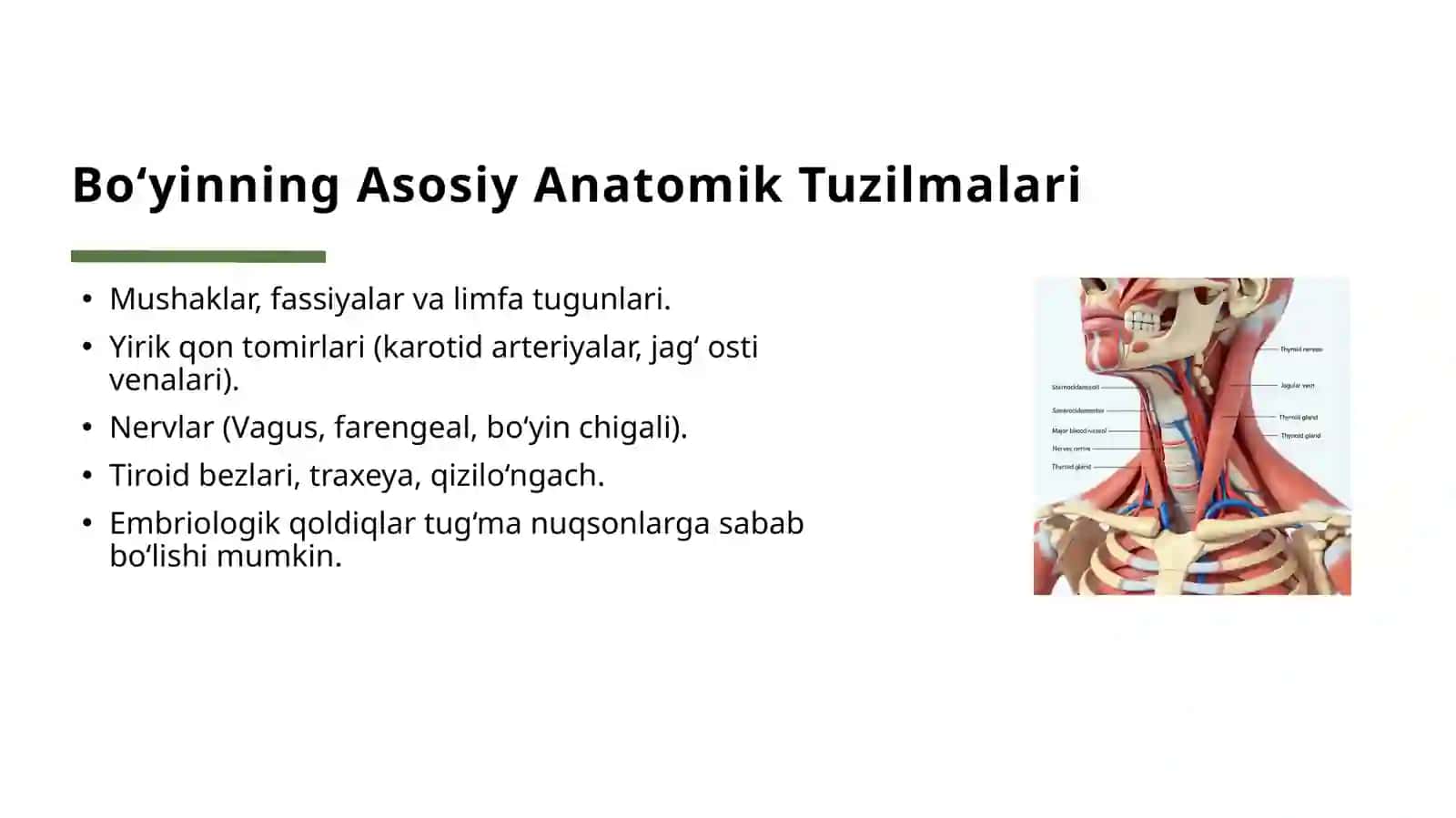 Bo‘yining o‘rta, yon oqmalari va kistalar 4