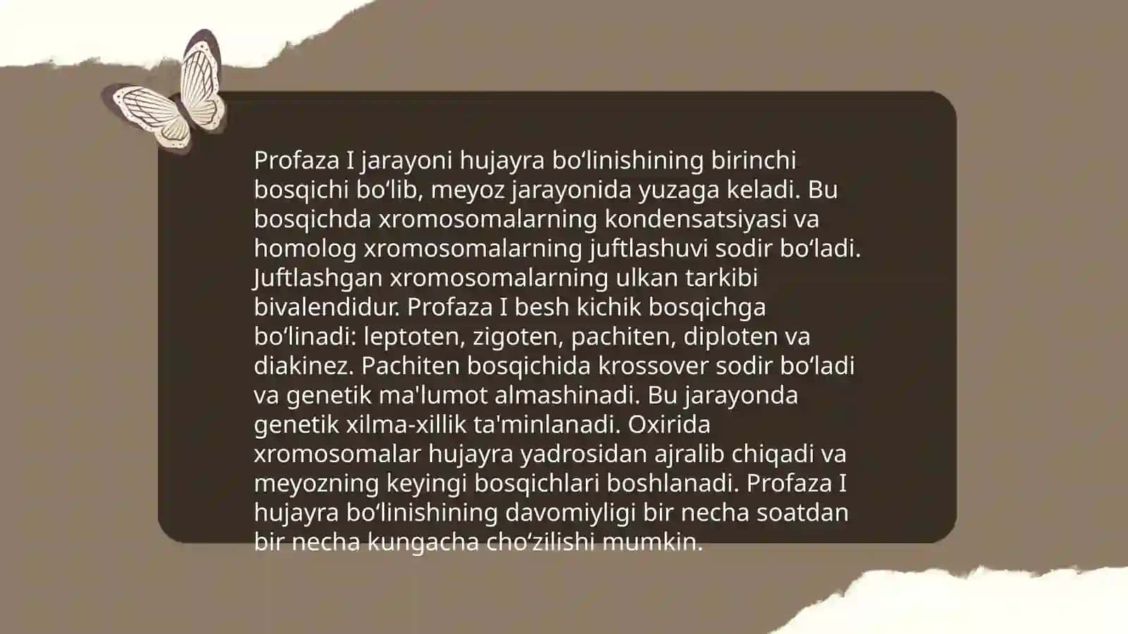Meyoz I va Meyoz II 4