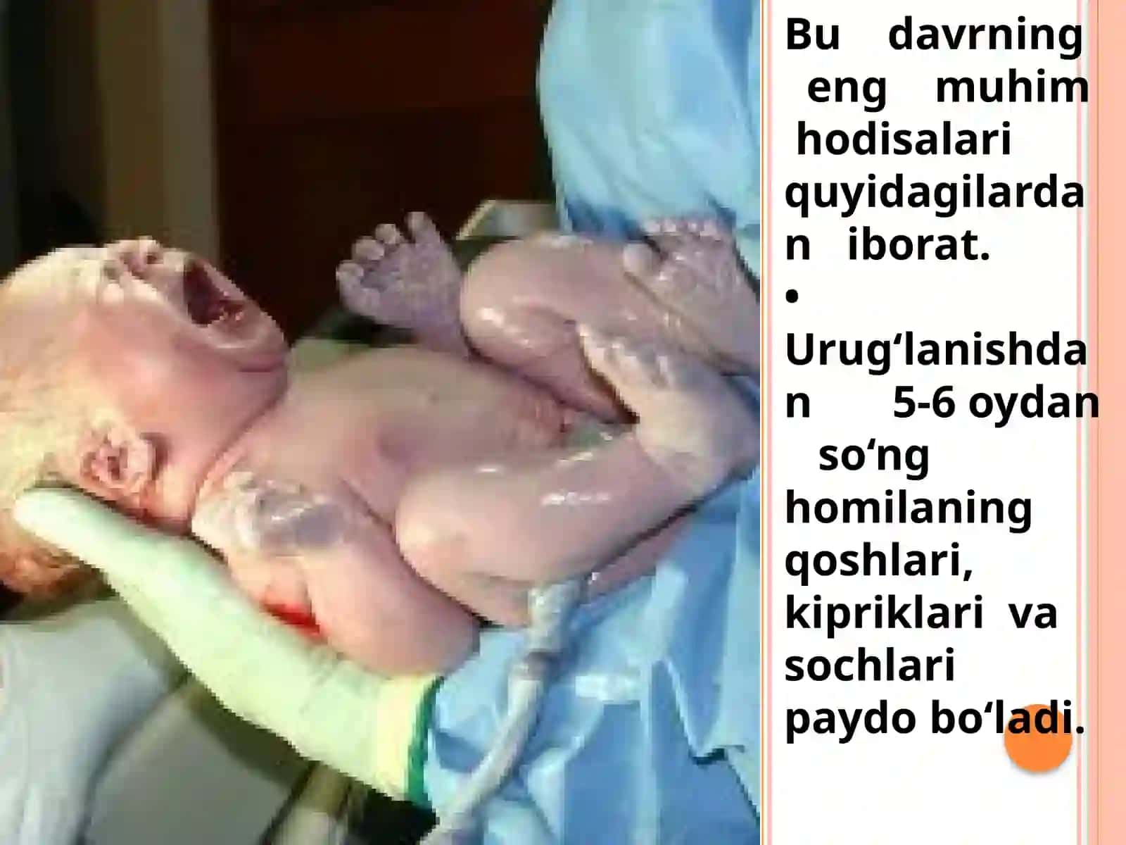 Ontogenezning ilk bosqichlari dainsonning psixik rivojlanishi ga xos xususiyatlari 4